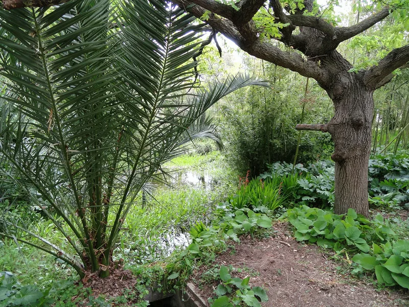 Villa Thuret's garden