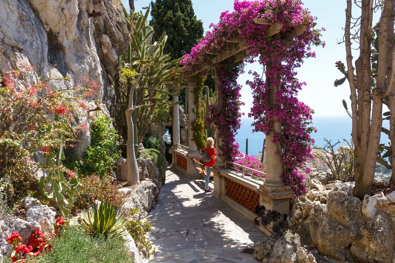Jardin Exotique
