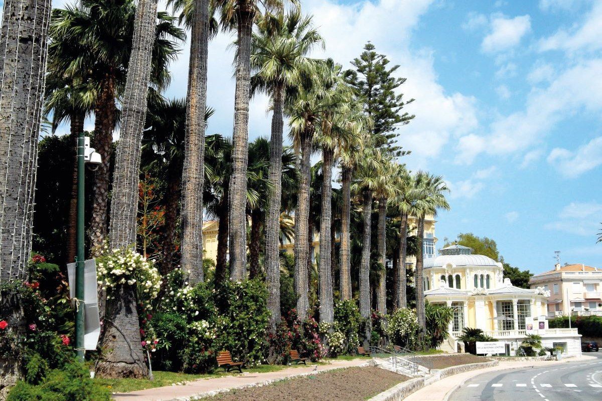 Palms in the Jardins de la Rotonde by the Baie des Fourmis, Beaulieu-sur-Mer