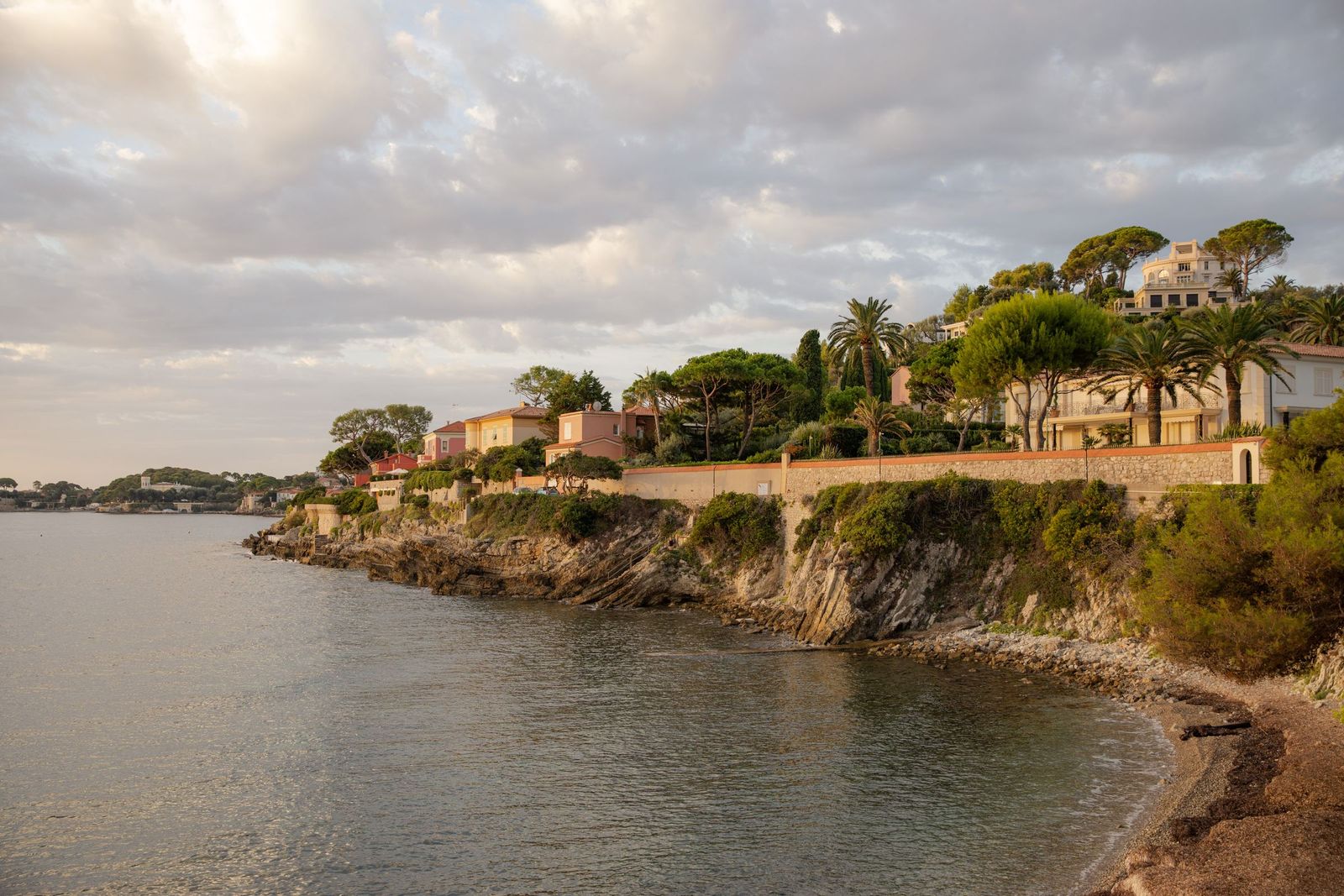 Beaulieu-sur-Mer by the sea, framed by the branches of a pine