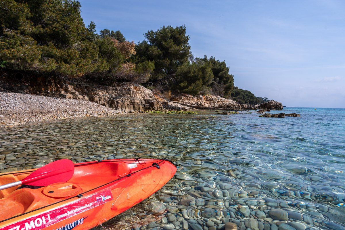 Red sea kayaks pulled up on a pebble shore beside clear water, with pines on the point behind