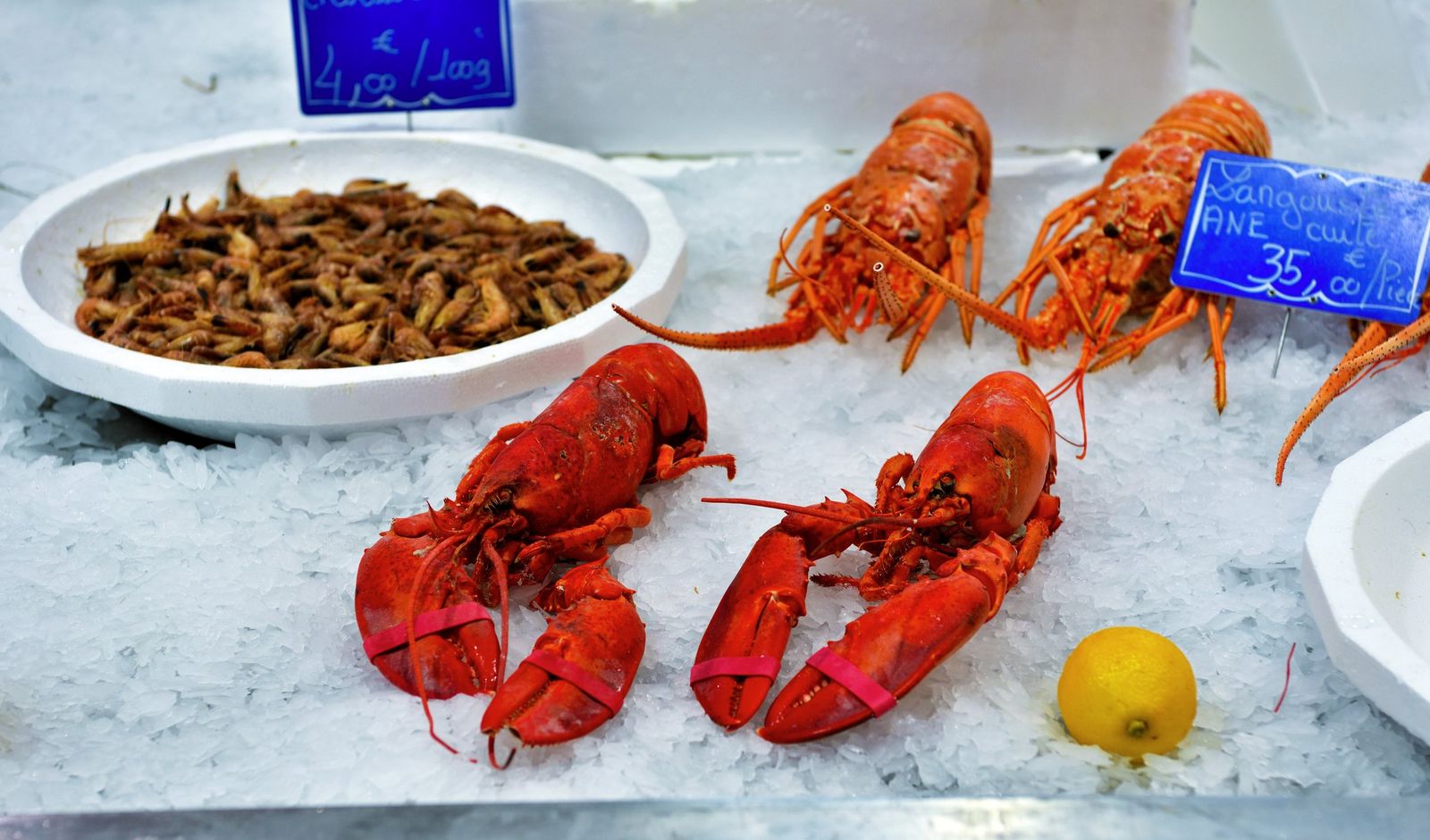 Lobsters and fresh seafood at the Marché Forville in Cannes