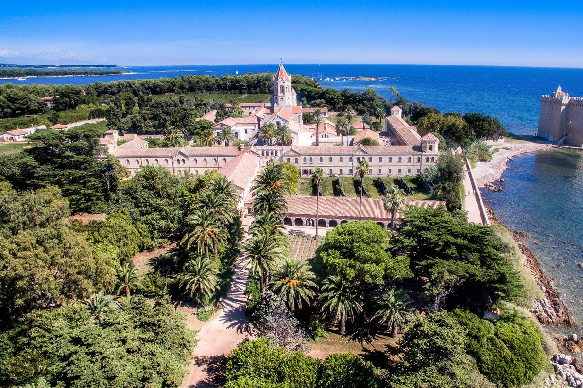 Aerial view of Île Saint-Honorat with the Abbaye de Lérins, its vineyards and the fortified monastery tower by the sea