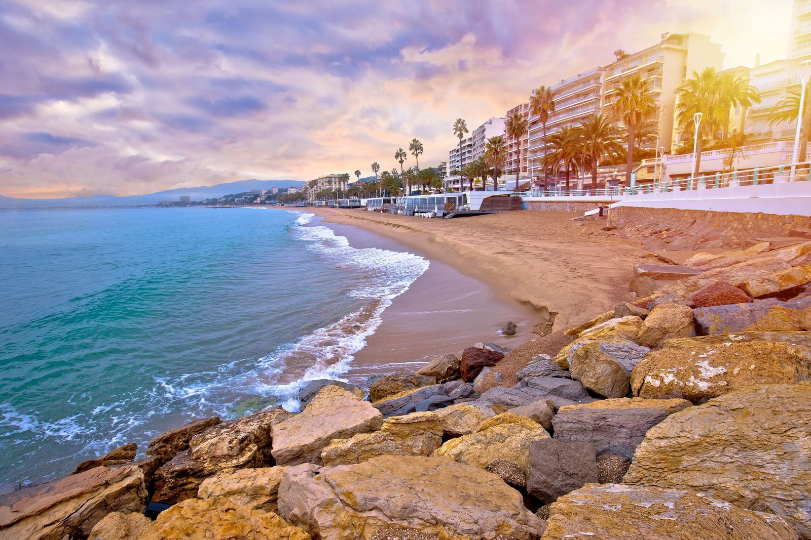 Palms along the waterfront and beach in Cannes
