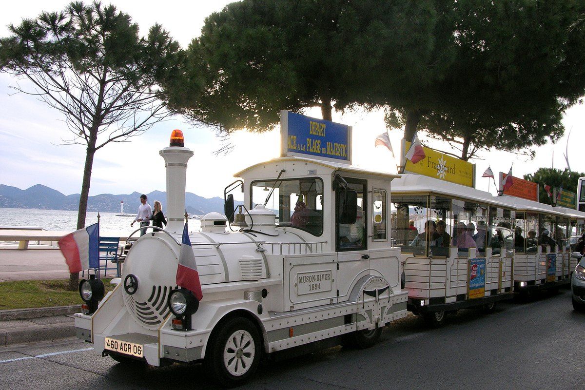 The white Petit Train de Cannes under the pines by the seafront