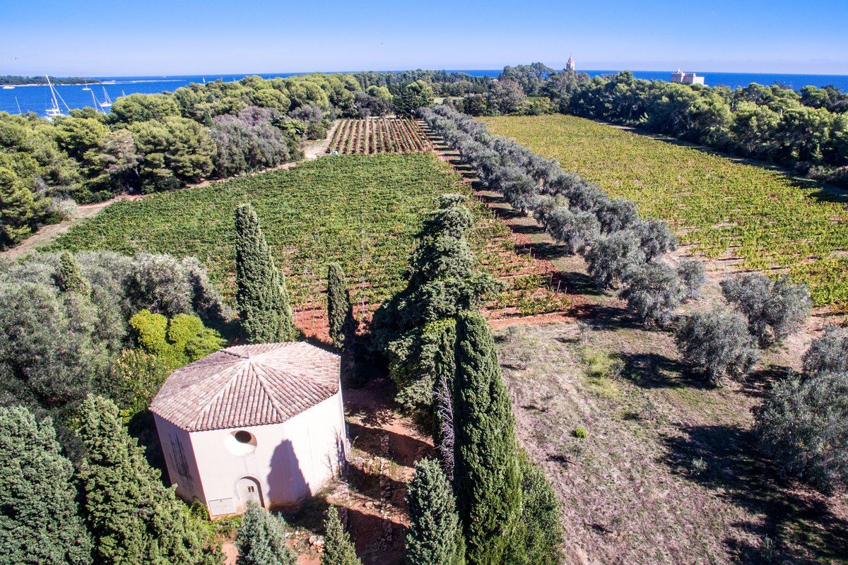 A small chapel among cypresses beside the monks' vineyards on Île Saint-Honorat
