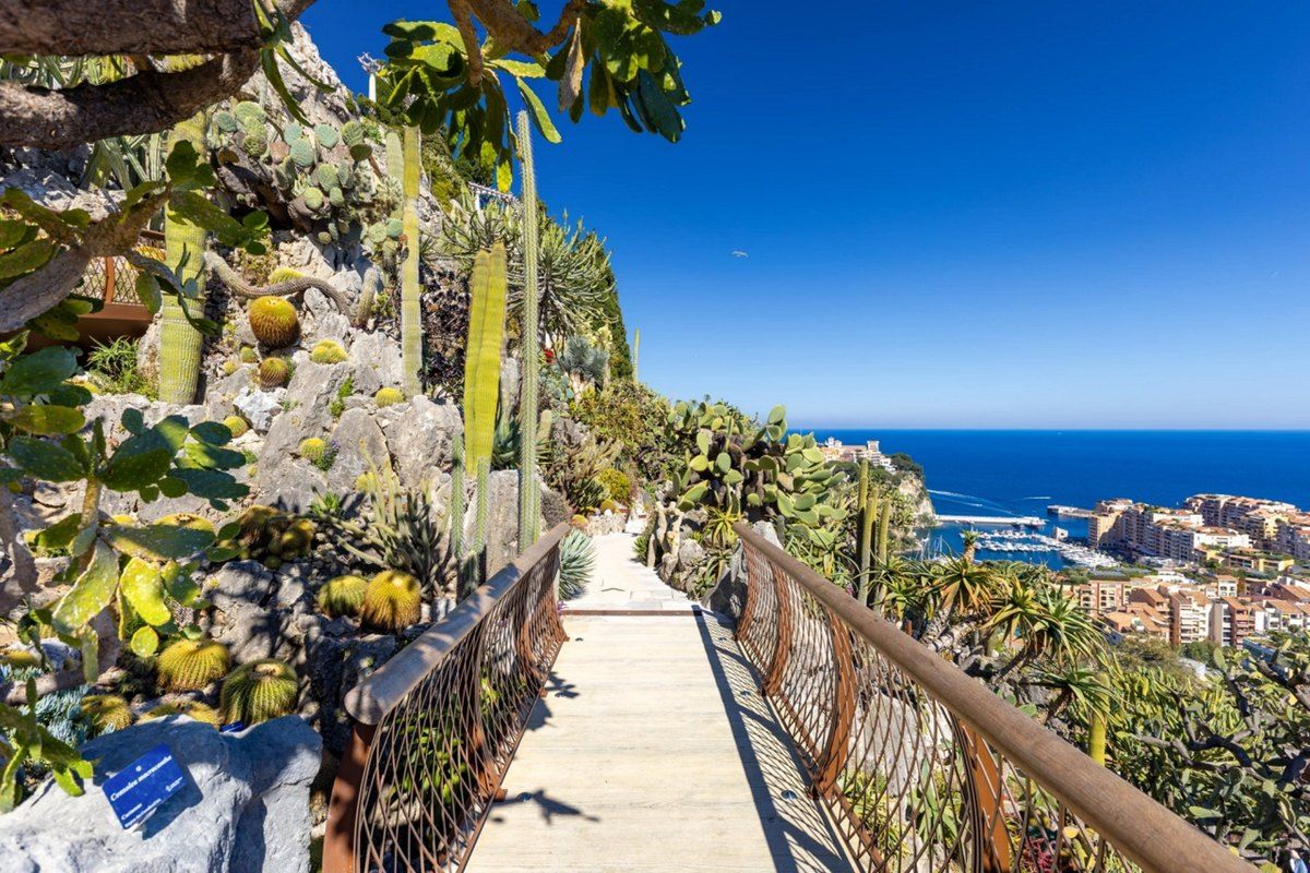 A wooden walkway between cacti and succulents in the Jardin Exotique de Monaco, high above the port