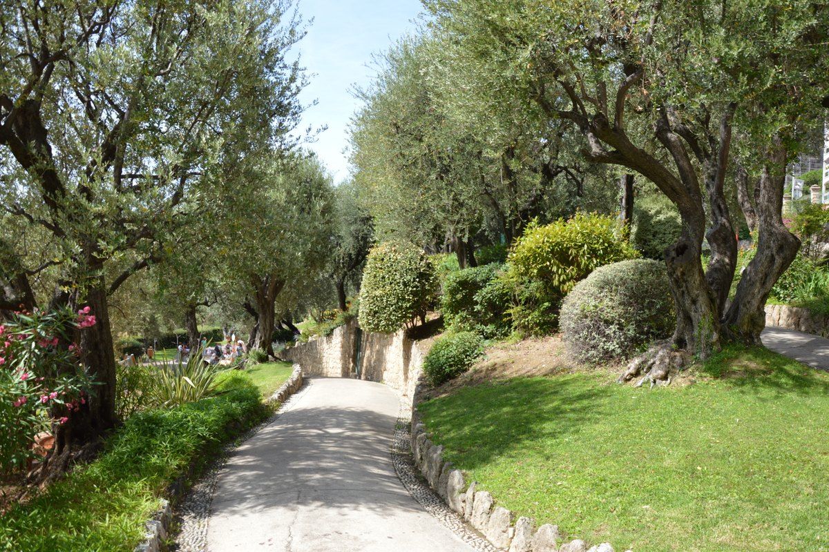 A shaded path among old olive trees and clipped shrubs in the Parc Princesse Antoinette, Monaco