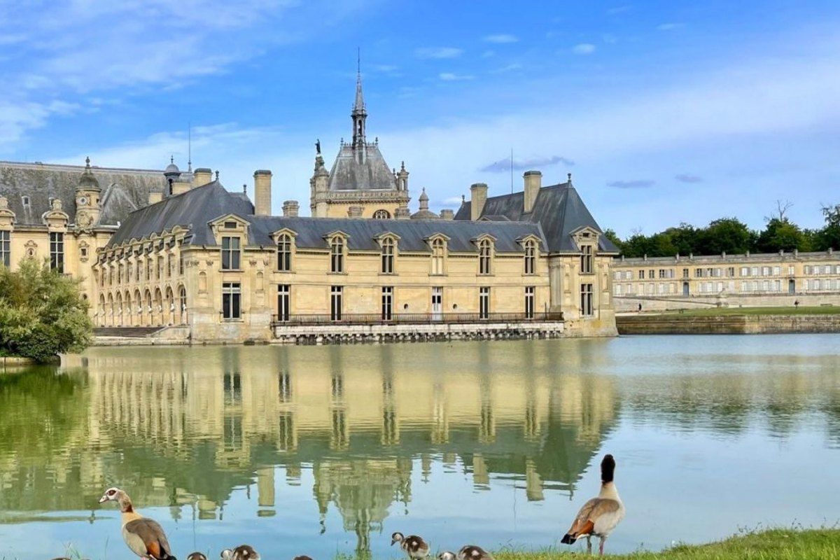 The Château de Chantilly reflected in its lake, with geese on the bank