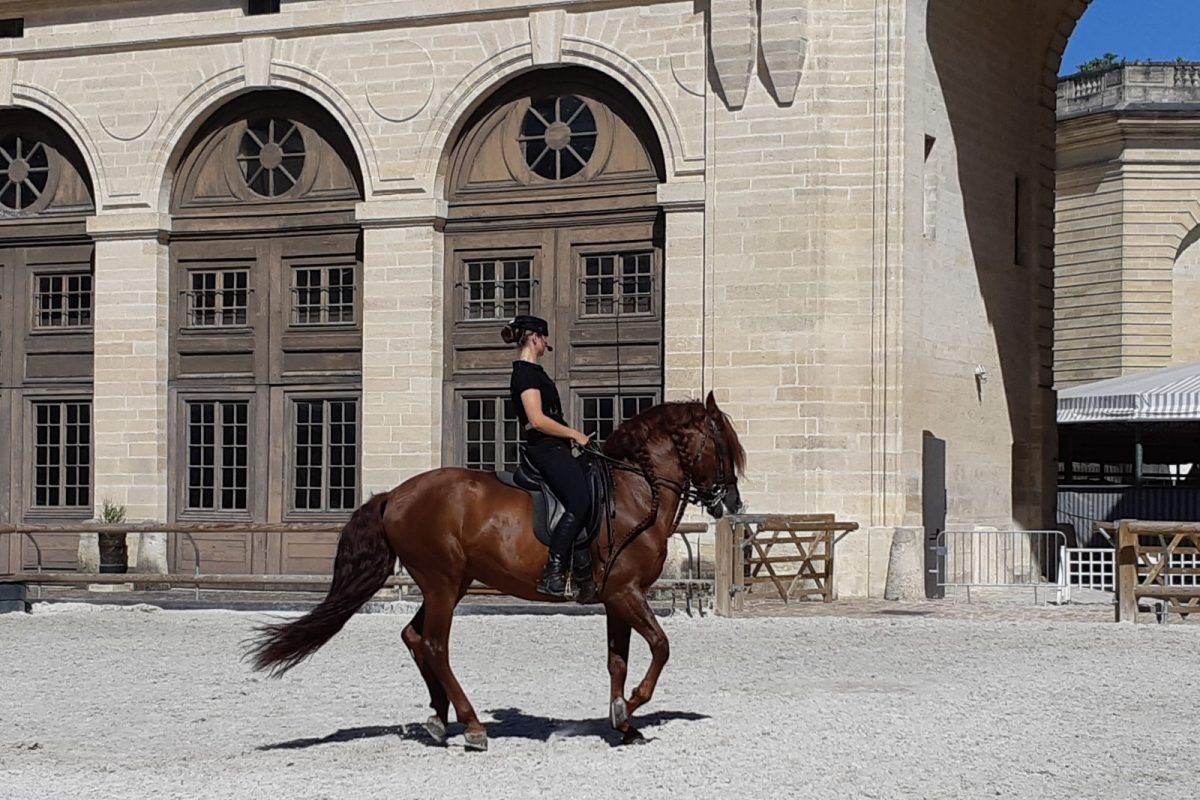 A rider on a chestnut horse in the courtyard of the Grandes Écuries at Chantilly