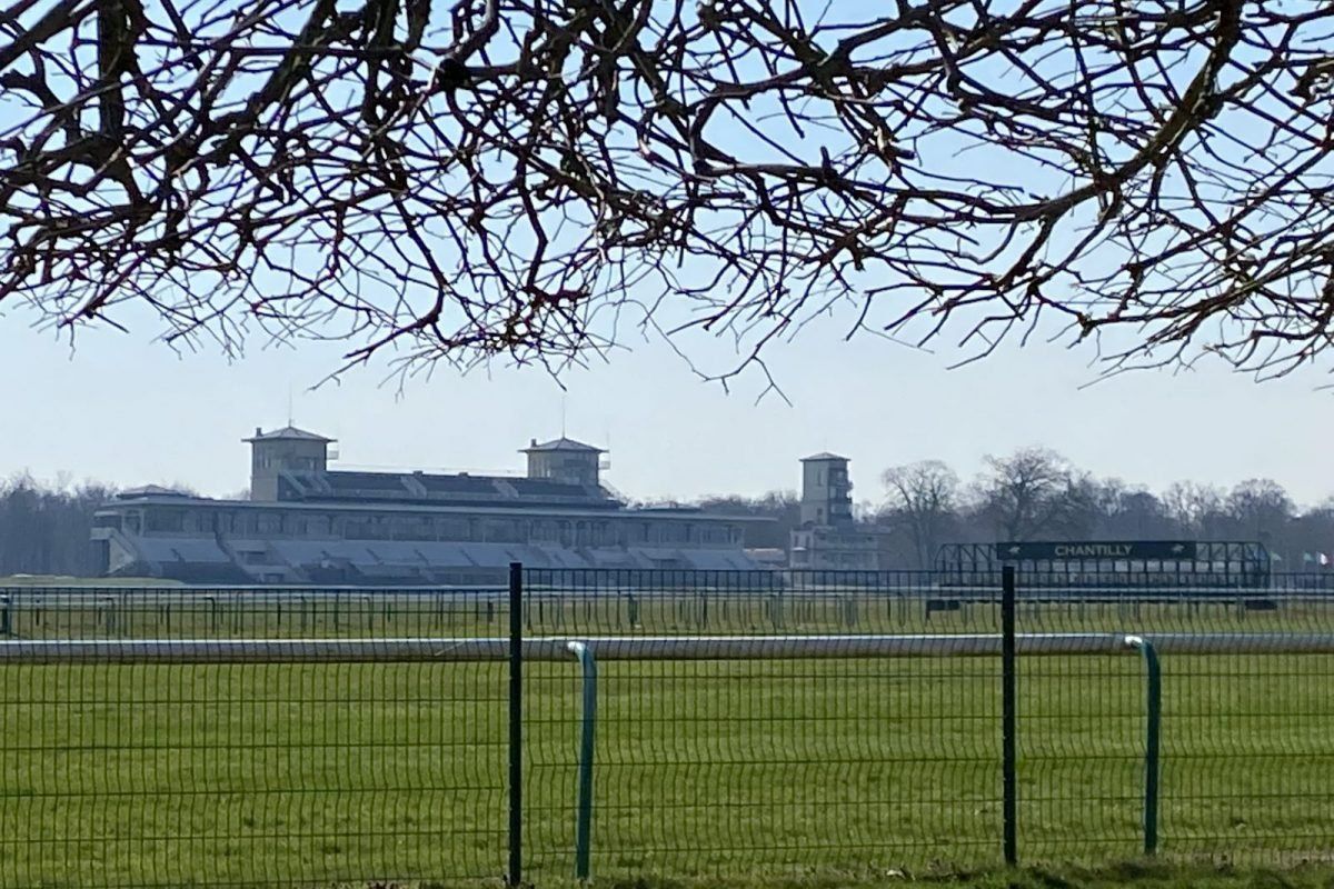 The stands of the Chantilly racecourse seen across the turf through bare branches