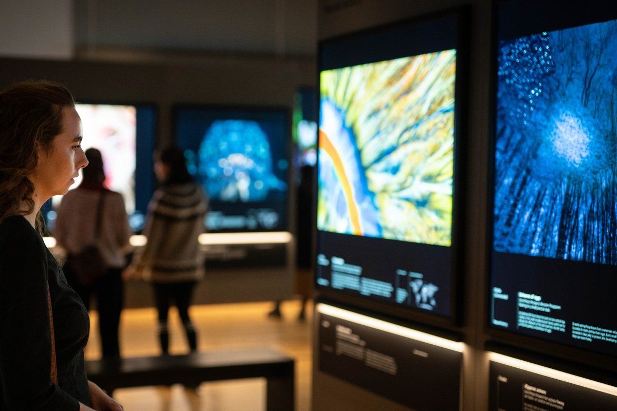 Visitors looking at large illuminated nature photographs in an exhibition hall at the Natural History Museum of Denmark