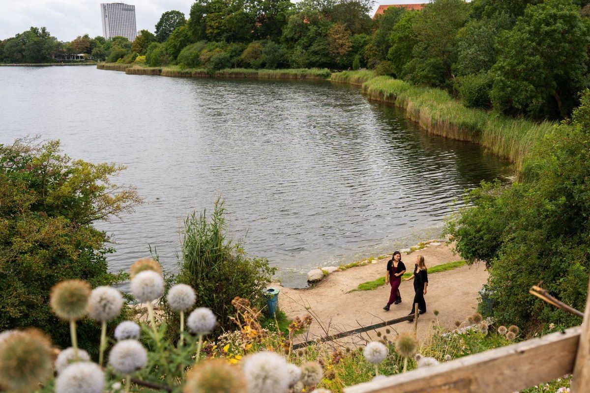 The Stadsgraven moat seen from the green ramparts of Christianshavn, with wild flowers in the foreground