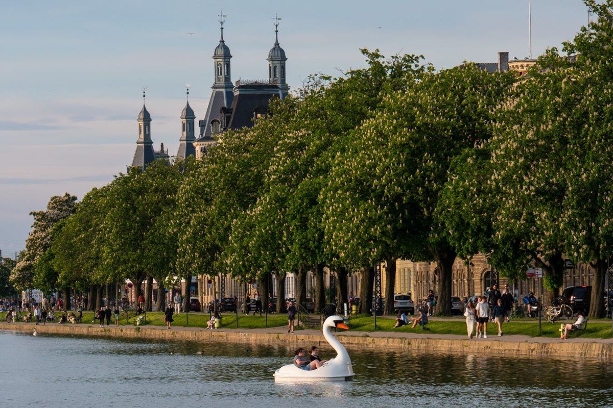 A swan pedal boat on Peblinge Sø with the tree-lined lakeside path and the towers of the city beyond