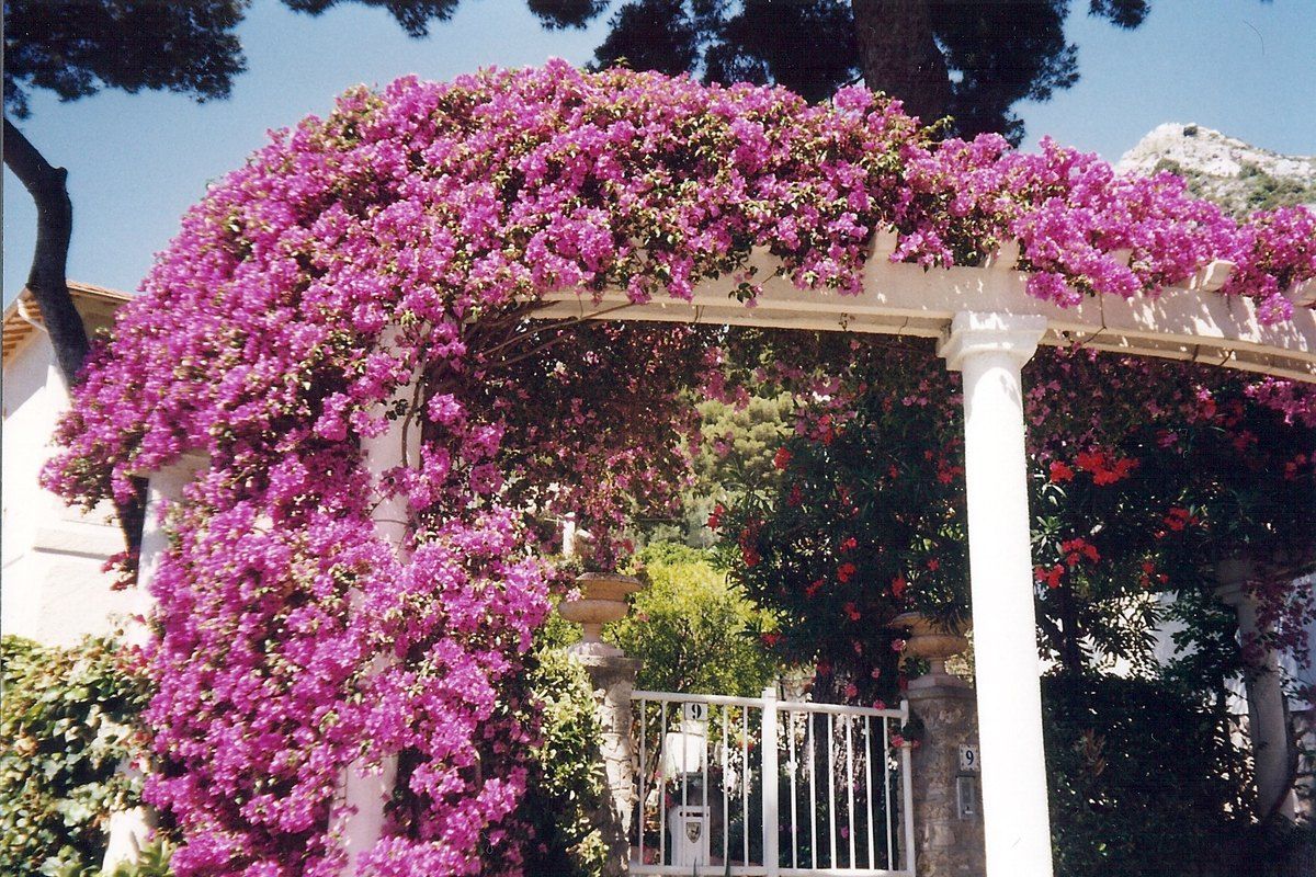 The Chemin Saint-Michel at Èze-sur-Mer