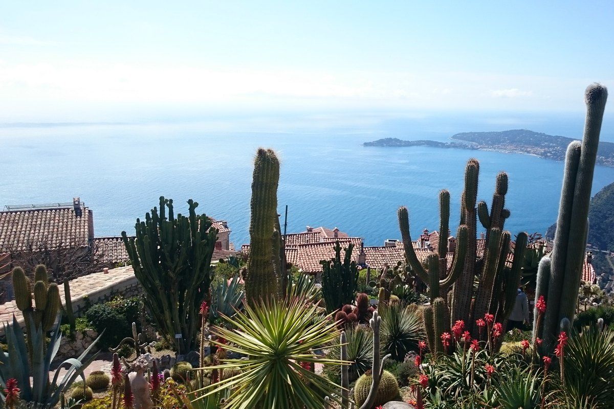 Succulents and sculptures in the Jardin Exotique d'Èze, high above the Mediterranean