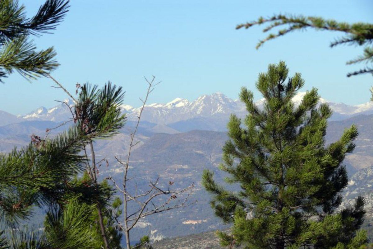 The Parc naturel départemental de la Grande Corniche above Èze, with the coast below