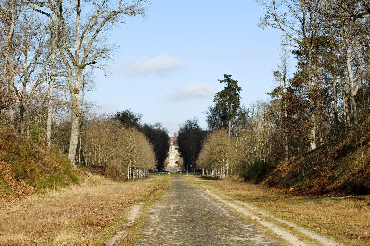 The paved avenue de Maintenon running straight through the forest towards the Château de Fontainebleau