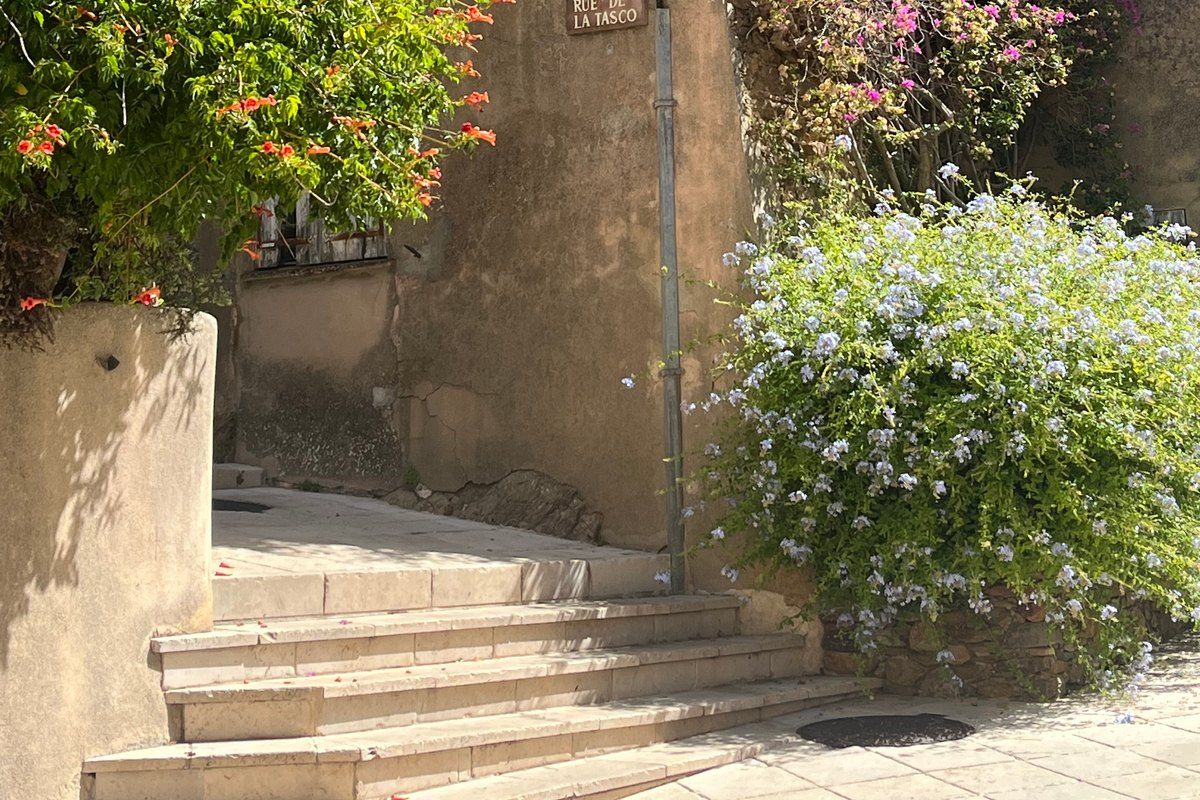 Stone steps and flowering shrubs in a lane of the medieval village of Gassin
