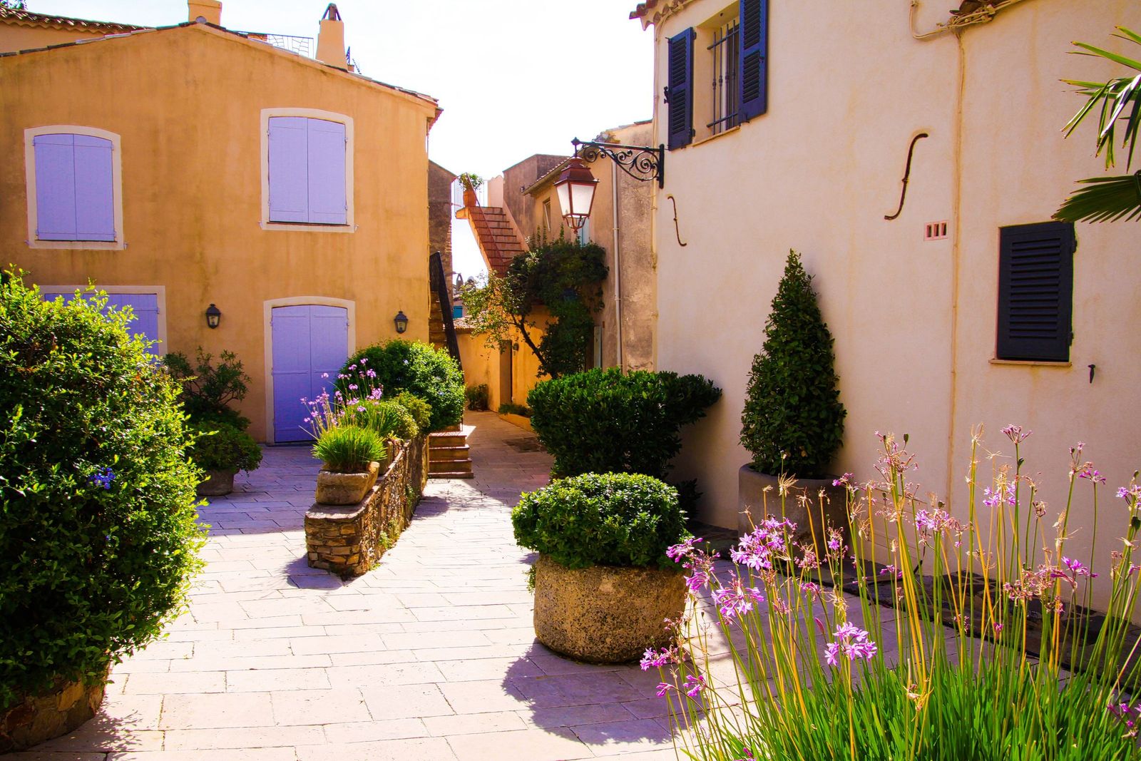 A small square in Gassin decorated with pots of flowers and green plants