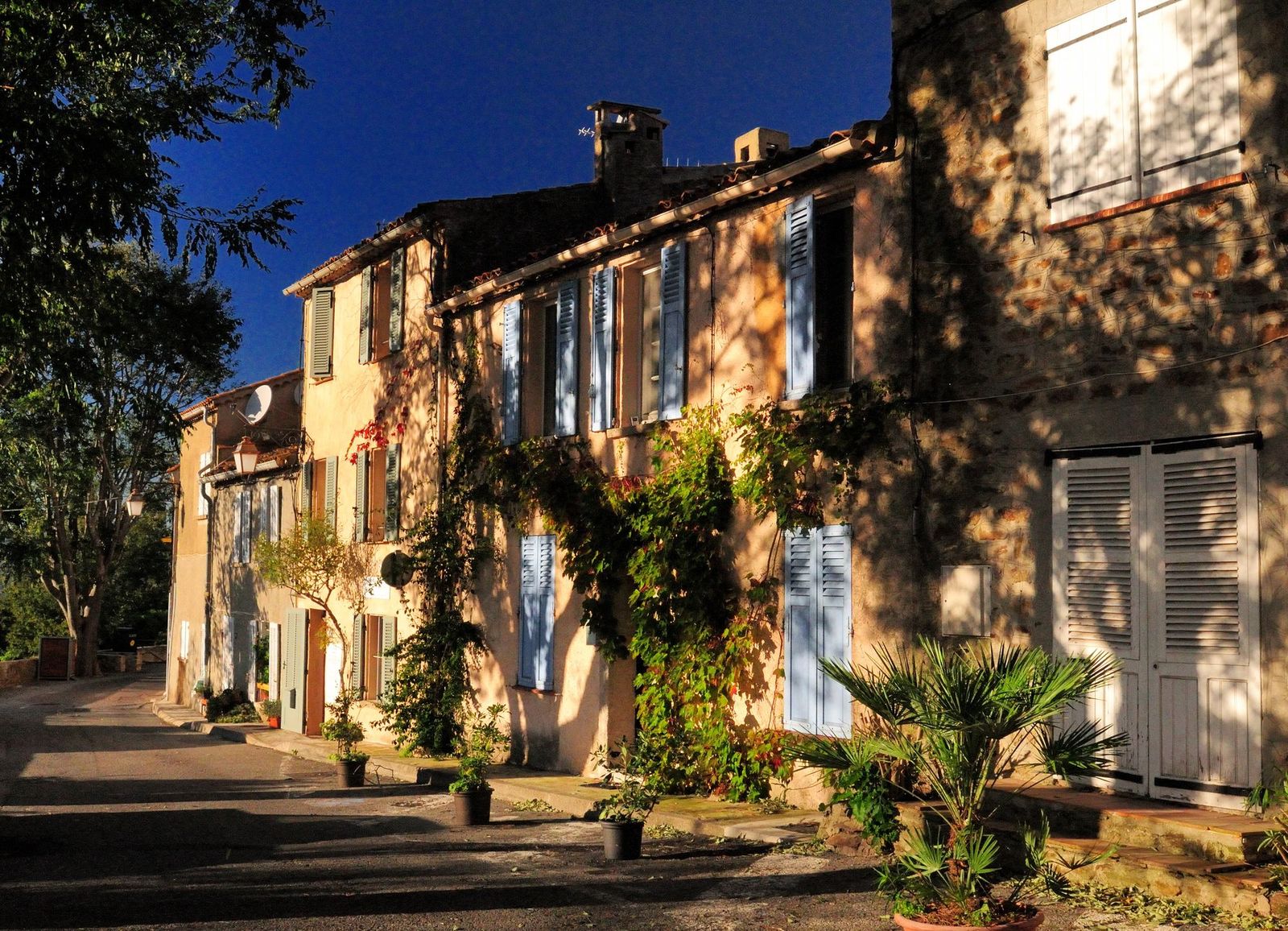 Trees shading sunlit house fronts in Gassin