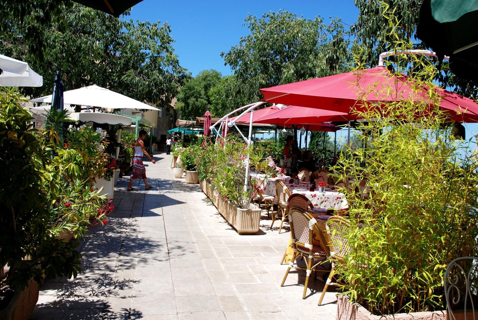 Café terraces under parasols in the village of Gassin