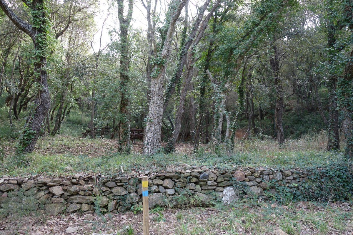 A woodland path with a dry-stone wall and waymark in the Arlatane forest below Gassin
