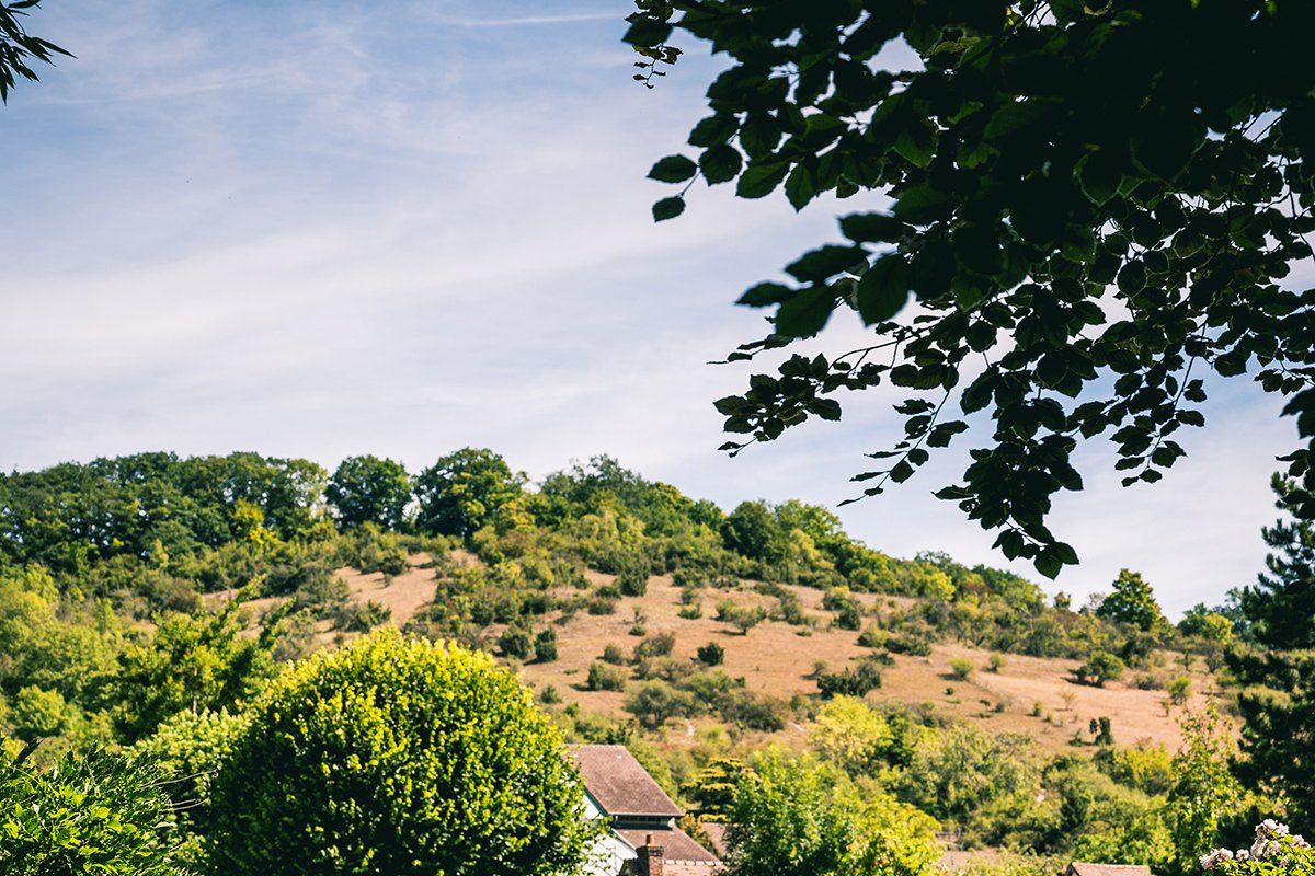 The wooded hillsides above Giverny seen through the trees