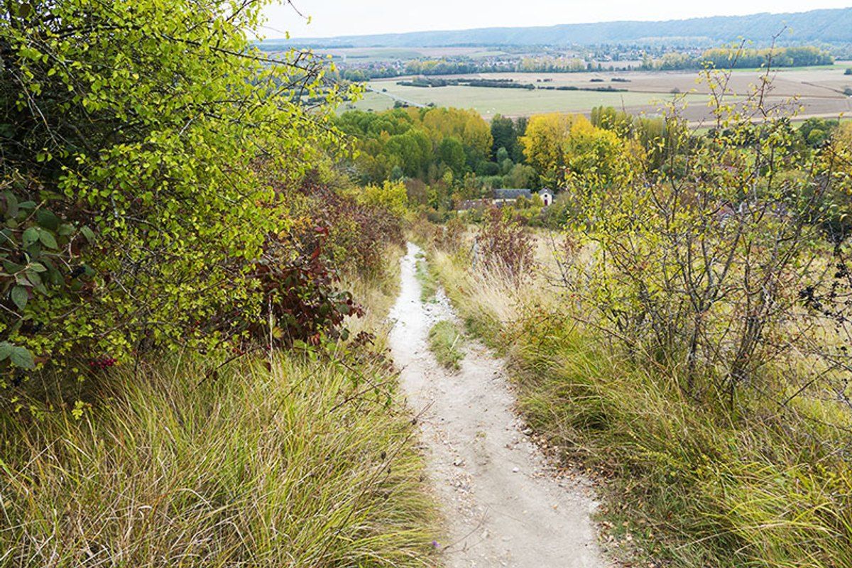 A chalky path through dry grassland on the Coteaux de Giverny, with the valley beyond