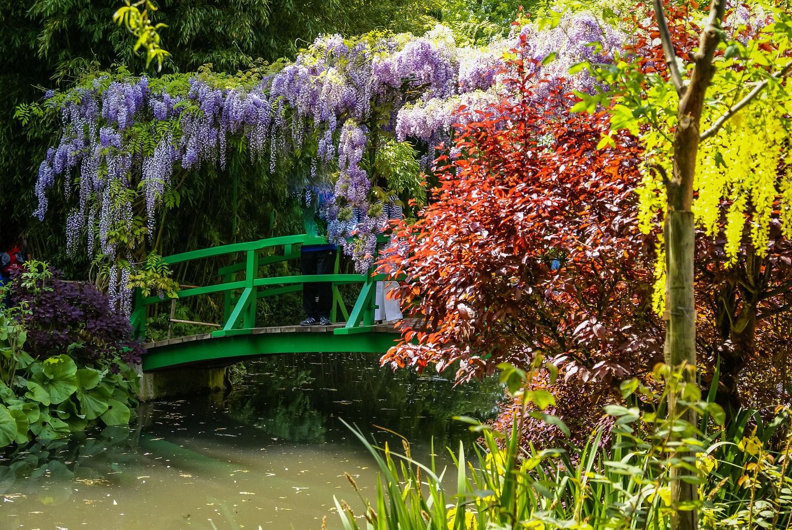 The gardens of Giverny in spring