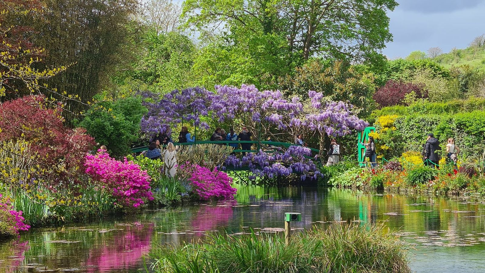The water-lily ponds of Giverny