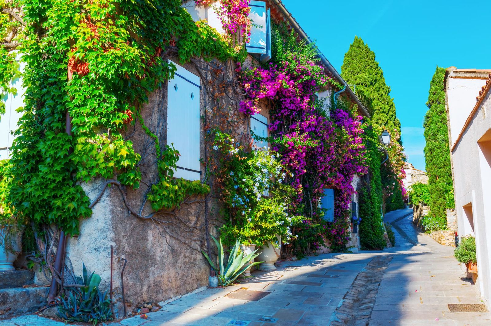 An alley with flowers in the Provençal village of Grimaud