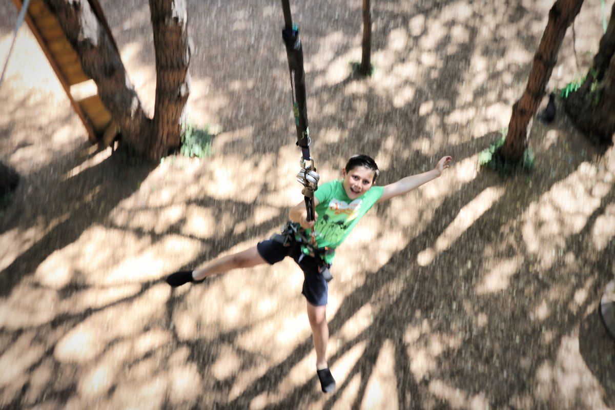 A boy on a zip line between the pines at Grimaud Aventure