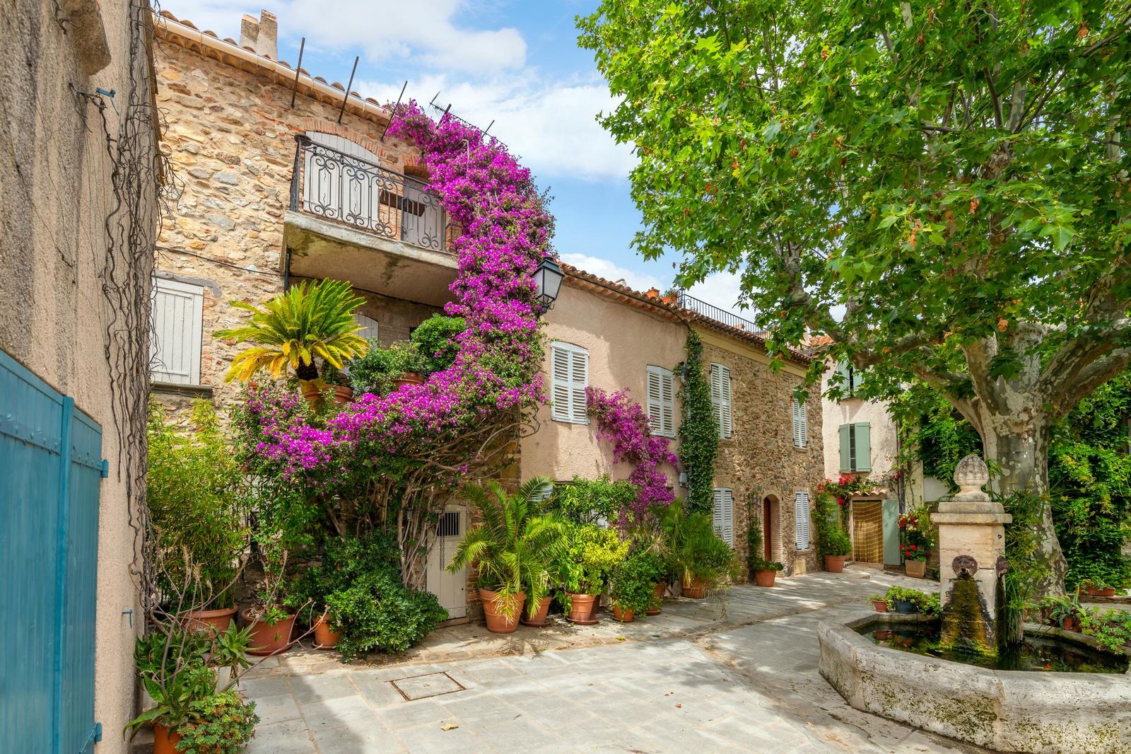 Bougainvillea along a narrow street in the old village of Grimaud