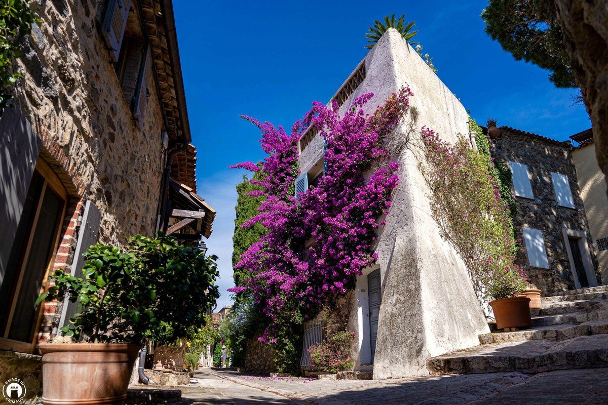 Bright pink bougainvillea spilling over a white house in a sloping lane of Grimaud