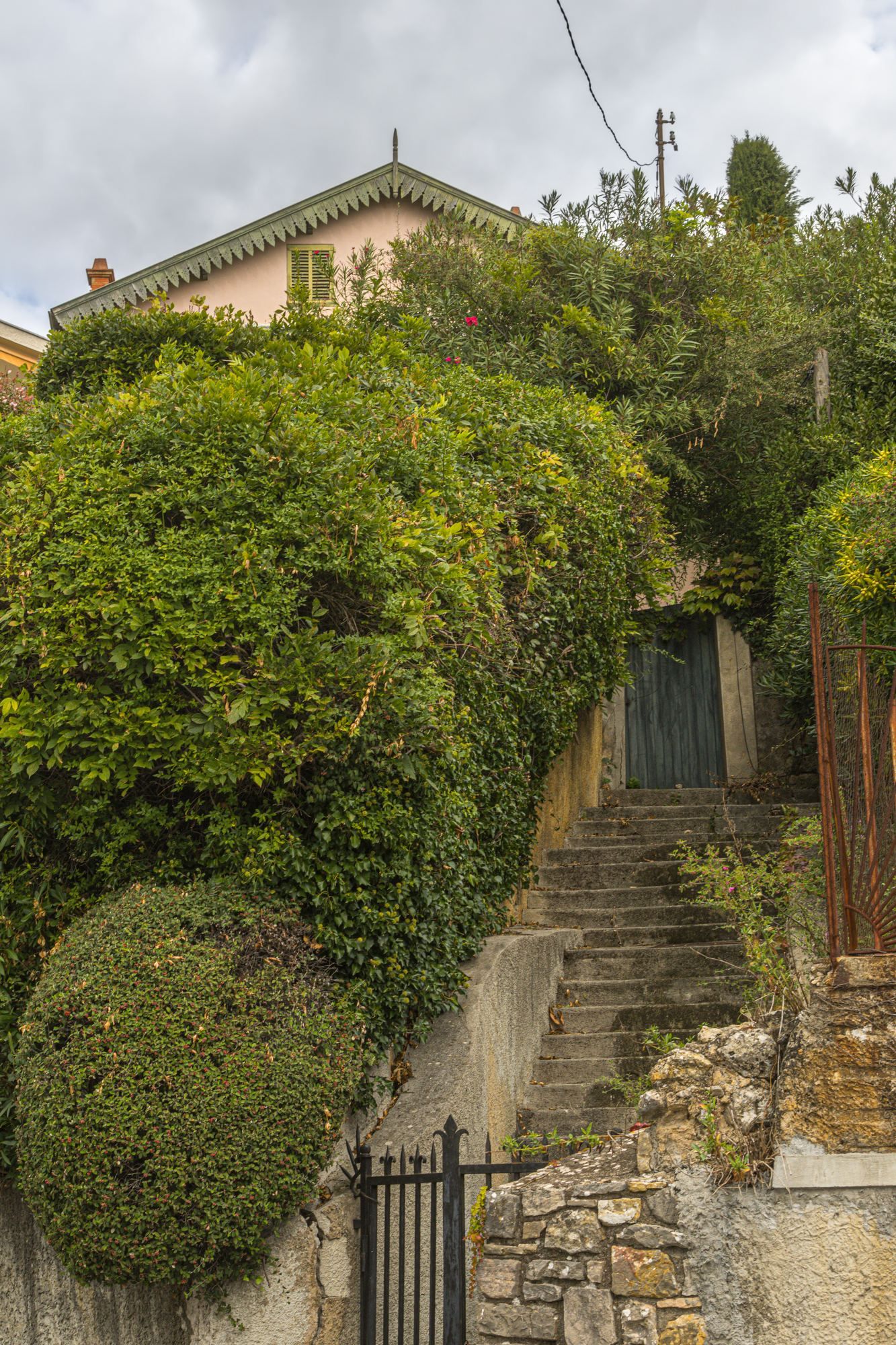 Steps climbing through greenery in old Le Cannet