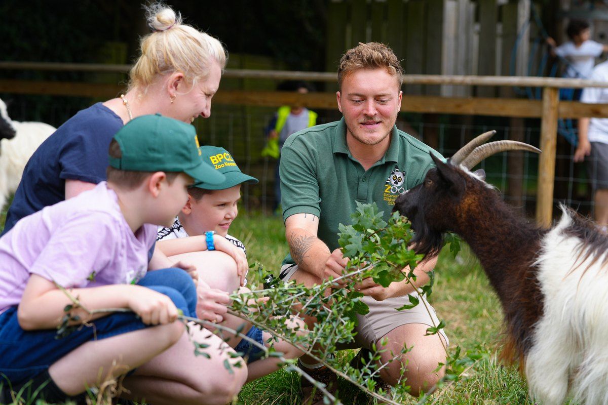 Children and a zoo keeper feeding a goat at Battersea Park Children's Zoo