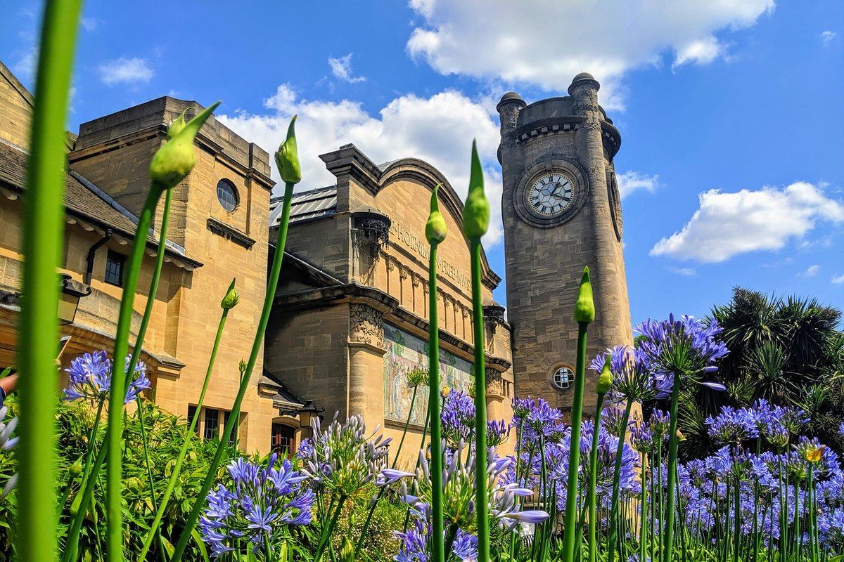 The clock tower and frontage of the Horniman Museum behind blue agapanthus