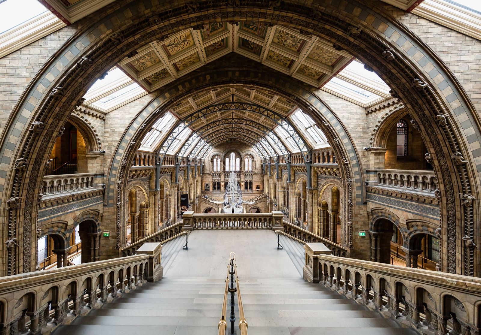 The main hall of the Natural History Museum