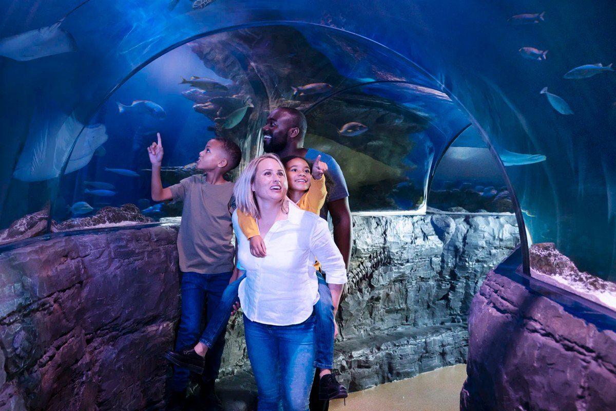 A family walking through the underwater tunnel at SEA LIFE London Aquarium