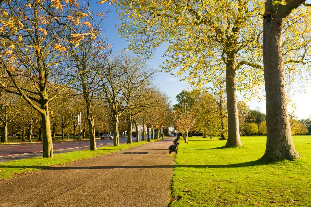 The tree-lined path of Blackheath Avenue in Greenwich Park