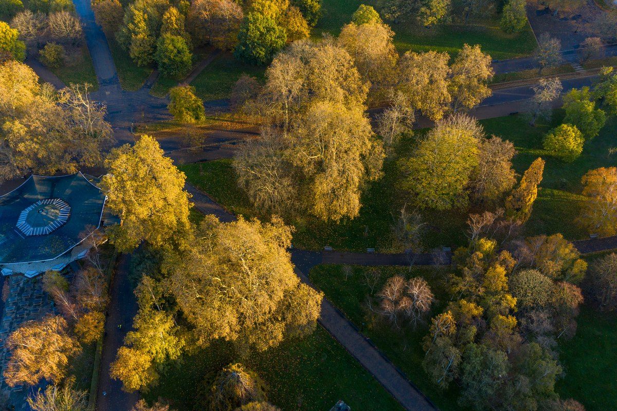 An aerial view of Hyde Park's paths and trees in autumn colour