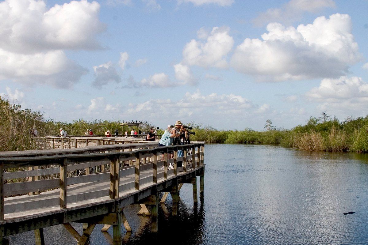 Visitors on the Anhinga Trail boardwalk over a slough in the sawgrass of Everglades National Park