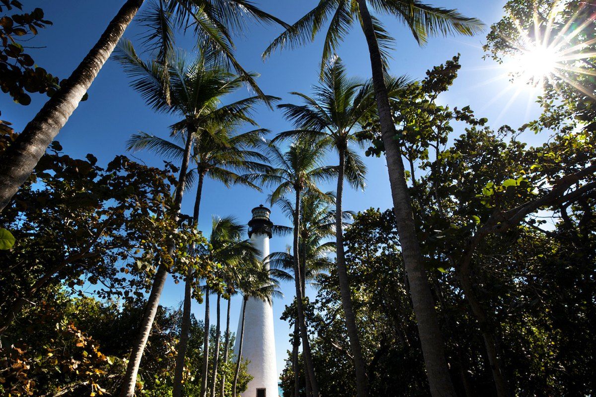 The white Cape Florida Lighthouse seen through coconut palms at Bill Baggs Cape Florida State Park