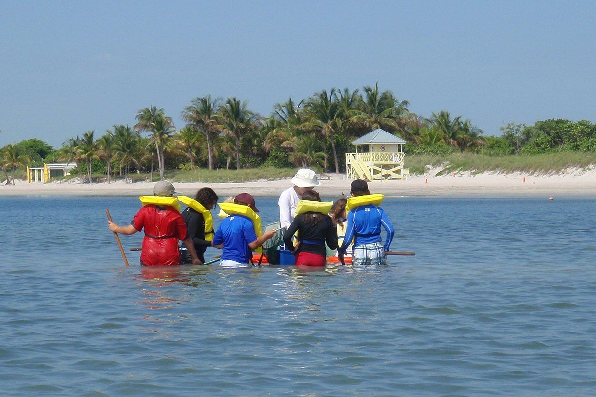 Children in life jackets wading through the shallows with nets on a seagrass adventure off Crandon Park