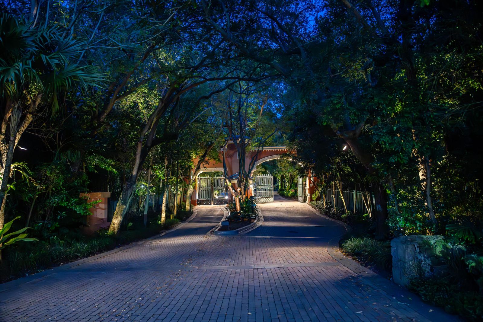 A leafy street in Coconut Grove
