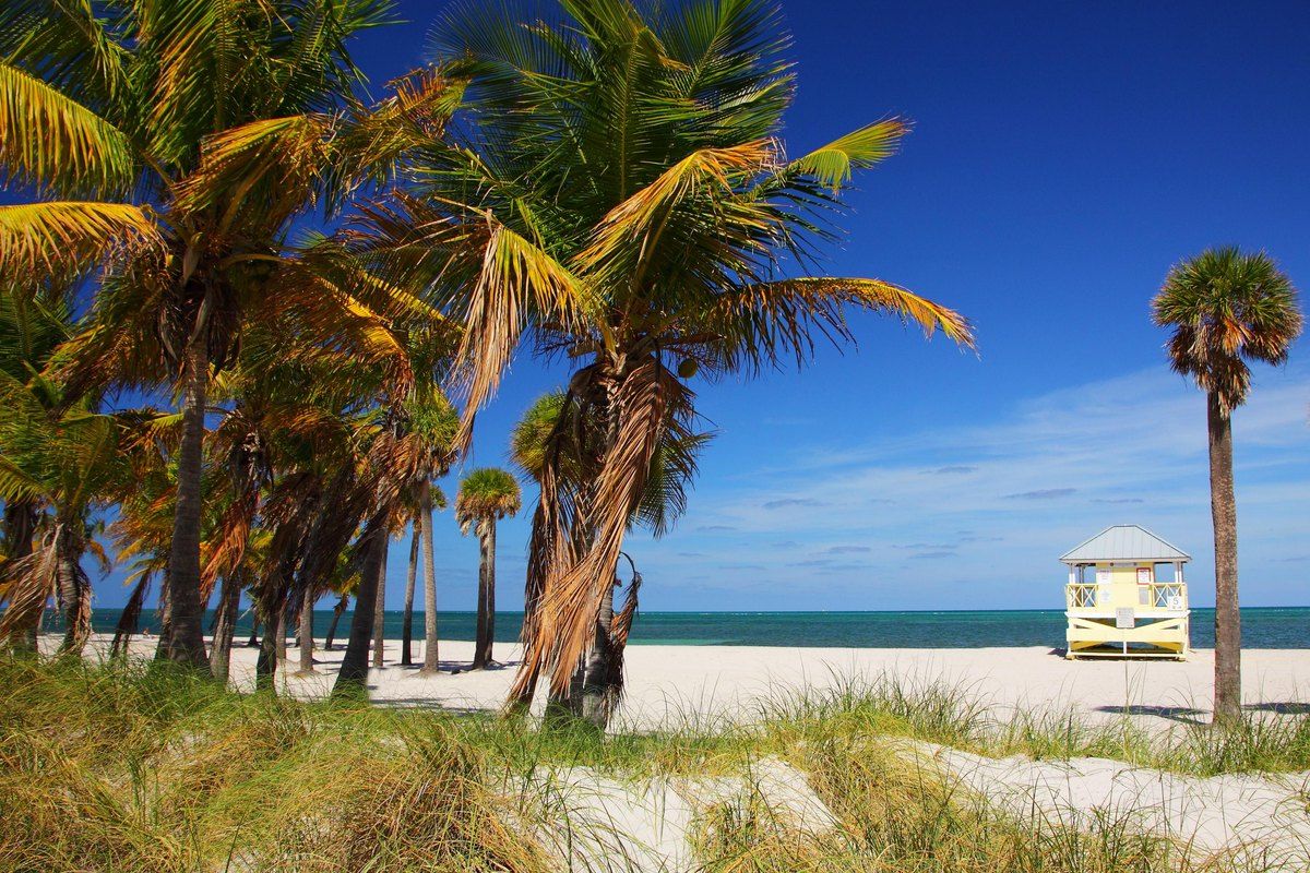 Coconut palms, dunes and a lifeguard tower on the white sand of Crandon Park Beach, Key Biscayne