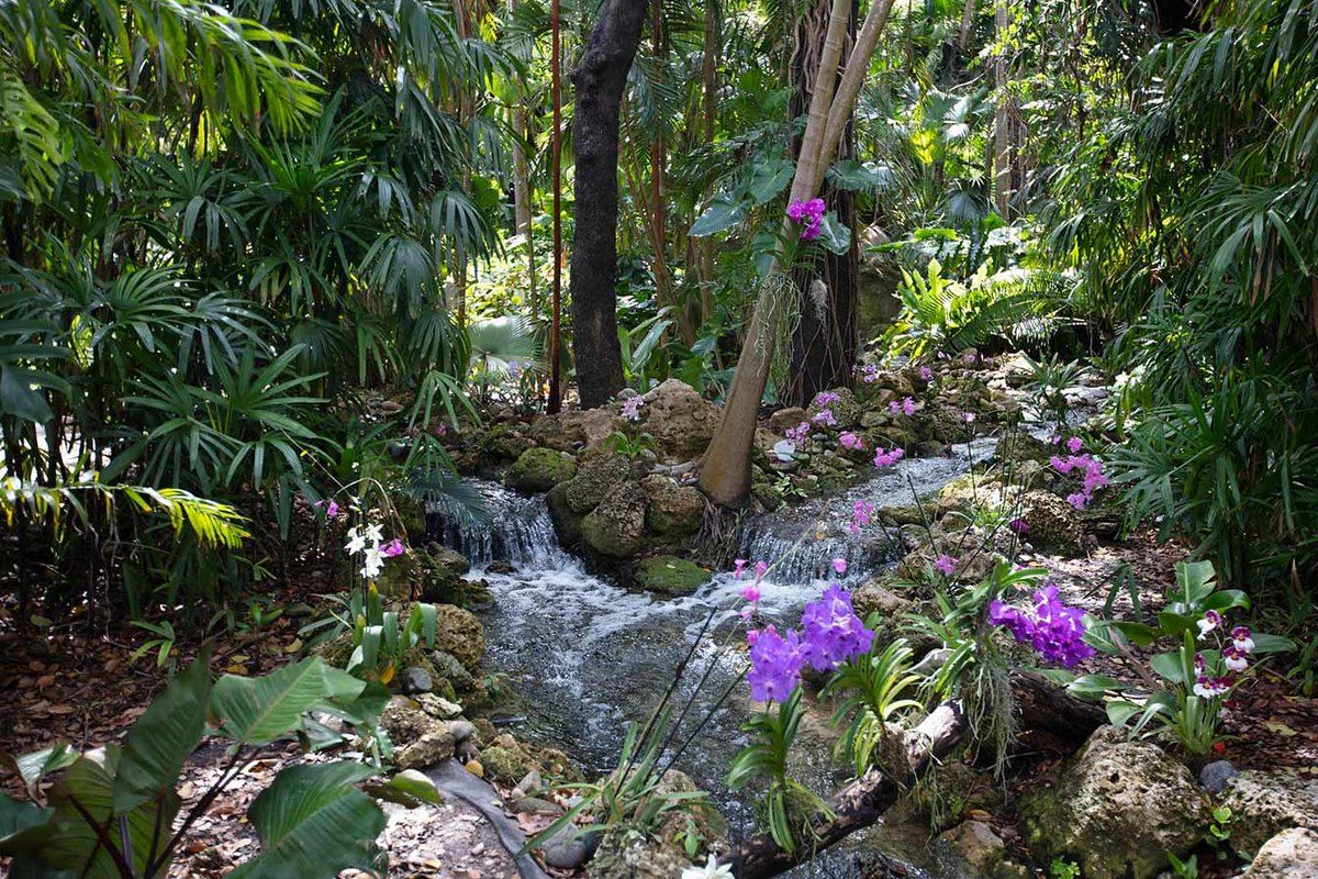 A small waterfall among ferns, palms and purple orchids at Fairchild Tropical Botanic Garden