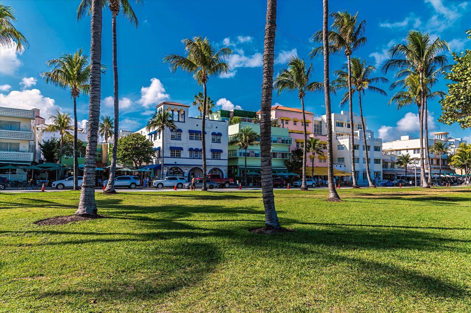 Art Deco hotels on Ocean Drive, seen across Lummus Park