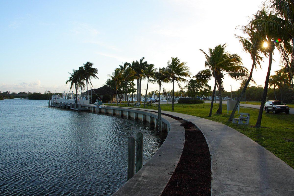 A palm-lined path curving along the water's edge at Matheson Hammock Park